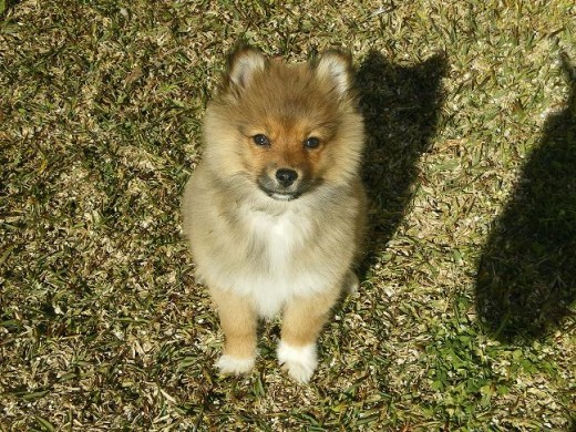 MI NORA CON TRES MESES RECIEN CUMPLIDOS